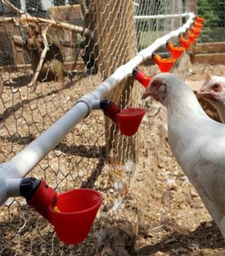 Imagen 4 de 9 de Bebedero Automático Taza + T(25mm) Aves Gallinas, Pollos X10