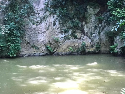 Imagen 5 de 16 de Finca En Falcon En Venta.lf
