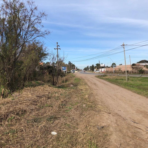 Imagen 5 de 6 de 8 Hectareas En Recreo Sobre Ruta 11