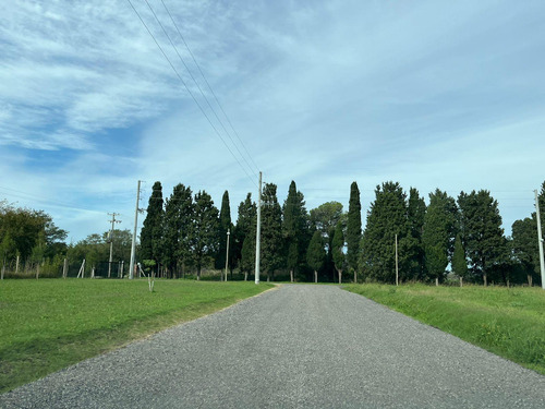Terreno En Ayres De Casares - Cañuelas