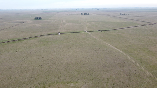 Imagen 22 de 22 de Campo Ganadero En Roque Perez Muy Bien Ubicado