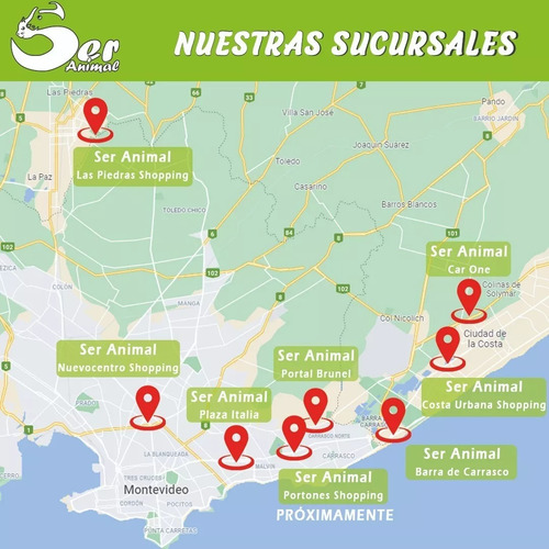Transportín Exterior Resistente Al Agua Truelove