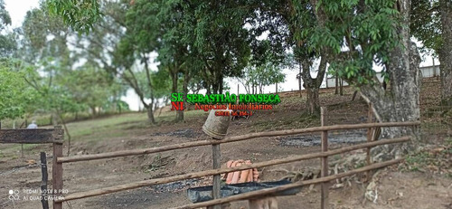 Imagem 10 de 15 de Chácara Excelente 13 Mil M² Em Caçapava - 1841