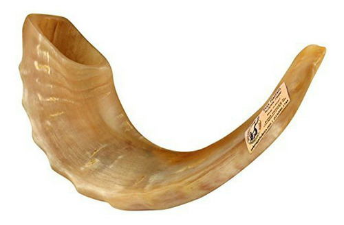 Shofar Pulido Con Cuerno De Carnero Kosher De , Con Guía Y S