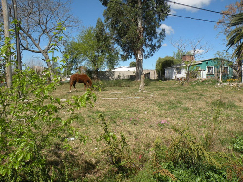 Vendo Terreno Sobre Esquina En Lugar Alto Ideal P/construir Vivienda O Galpon - Calle De Asfalto - 094 386 264 - 361 M2