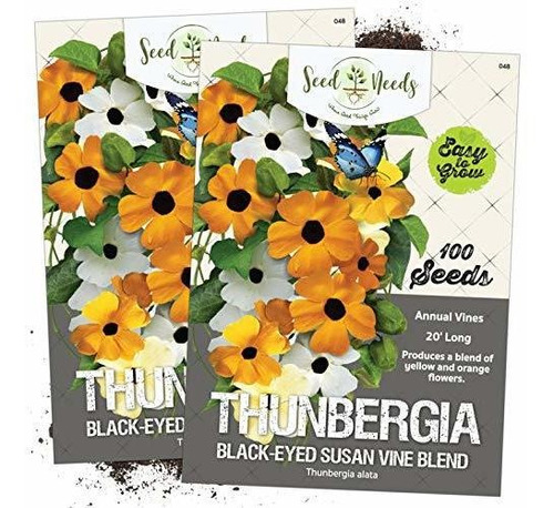 Seed Needs, Black Eyed Susan Vine Mix (thunbergia Alata) Twi