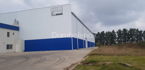 Imagen 5 de 30 de Depósito Galpón En Venta O Permuta Ubicado En General Rodríguez, General Rodríguez