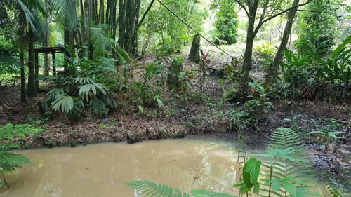 Iguape / Campo / Praia / Troca Cananeia / Oportunidade - 04813 - 33738836