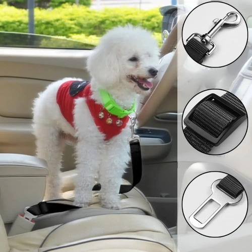 Correa De Mascotas Para Auto / Cinturón De Seguridad Perros Color Paquete 1