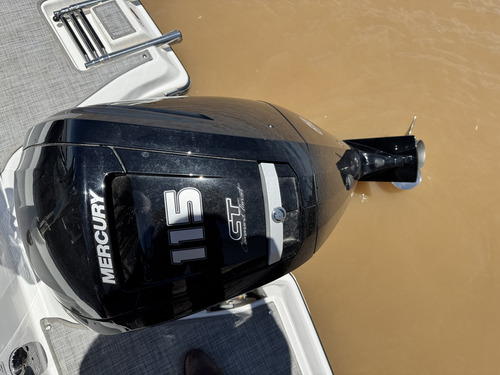Arco Iris Eclipse 17ss + Mercury 115hp Ct/ No Canestrari 278