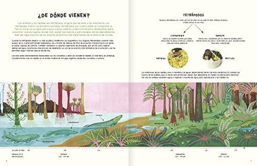 Agua Y Tierra / Water And Land: Anfibios Y Reptiles De Ameri