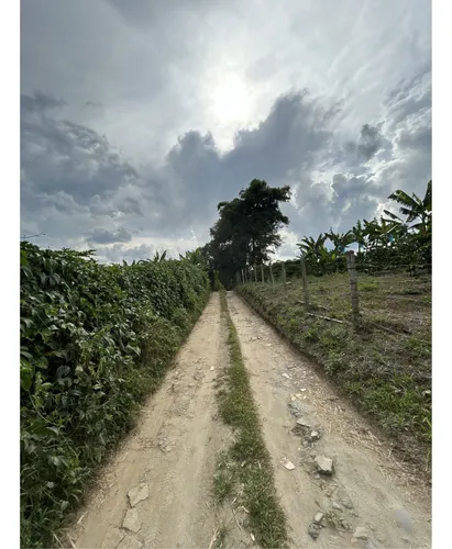 Se Vende Lote En Montenegro - Quindio