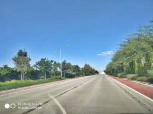 Imagen 2 de 7 de Terreno En Venta En Altozano Nueva Laguna