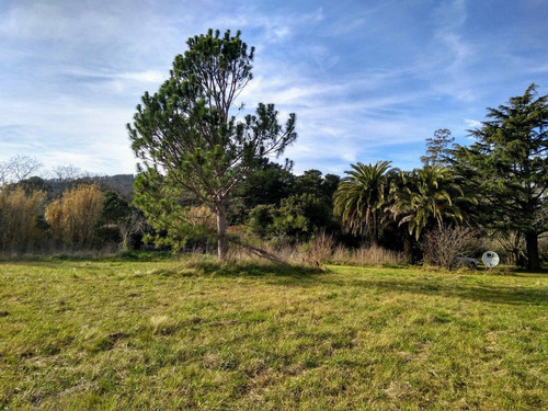 Imagen 4 de 15 de Quinta En Venta En Balcarce