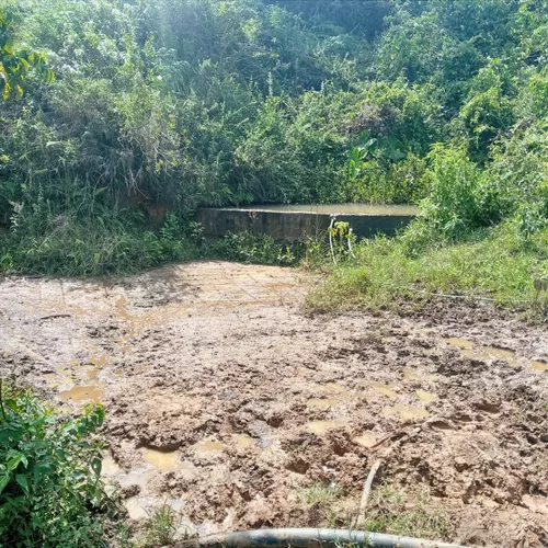 Vendo Finca En Restrepo Valle