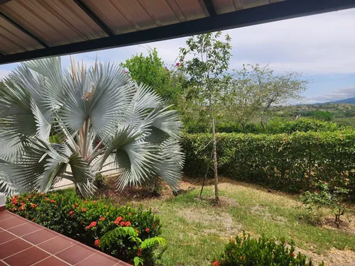 Finca En Venta En Vereda Chorquina. Cod V12649
