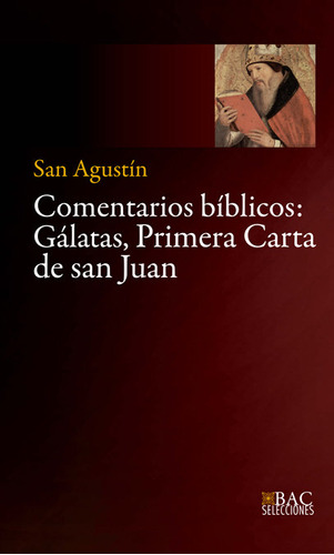 Comentarios Biblicos - San Agustin