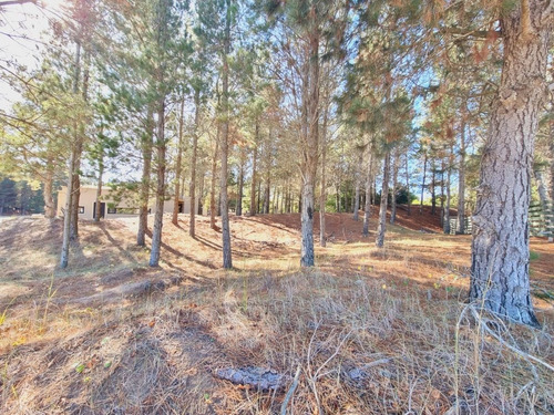 Imagen 9 de 11 de Lindo Terreno En Venta - Barrio Ecuestre De Costa Esmeralda