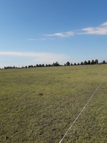 Terreno En Venta - 12000mts2 - Chacras De Abbott, San Miguel Del Monte