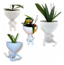 Comprar  Cactus Suculentas Maceta Macetero  Set X 4 Robert Planta