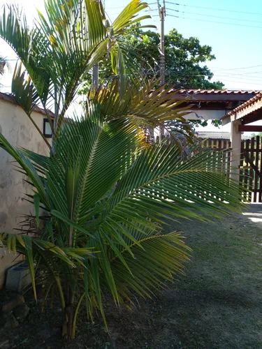 Casa A Venda Juréia Barra Do Ribeira Iguape -sp