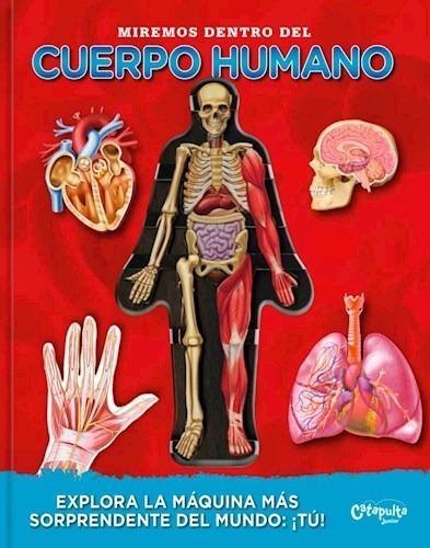 Libro De Actividades Miremos Dentro Del Cuerpo Humano Dgl