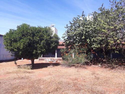 Imagem 6 de 6 de Terreno Residencial Para Venda Em Palmas, Plano Diretor Norte - 1116_2-905621