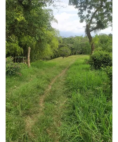 Venta Finca Circasia Via Armenia - 14 Cuadras