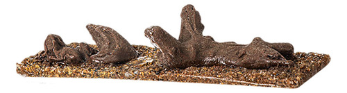 Accesorios De Acuarios De Decoración De Paisajismo Desierto