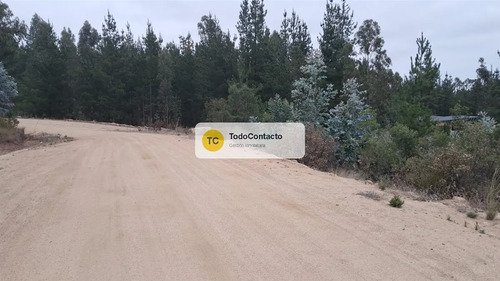 Parcela En Venta En Navidad - 5.000 M2 Tumán