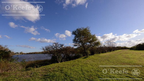 Lote En Venta En Puerto Nizuc - Oportunidad De Inversión En Guillermo Hudson
