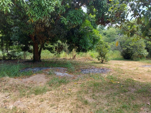 Imagem 6 de 24 de Terreno Em Caxito, Maricá/rj De 1060m² À Venda Por R$ 150.000,00 - Te2148374-s