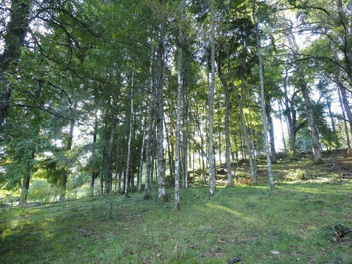 Agrícola En Venta En Malihue, Comuna De Los Lagos