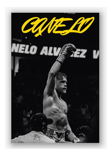 Poster Canelo Álvarez Boxeador Boxeo Box Varios Modelo 48x33