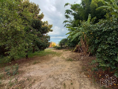Terreno À Venda Em Jardim Pagliato - Te007993
