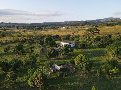 Imagen 16 de 24 de Granja En Venta Yaritagua 12 Hectareas Cod. 23-17577
