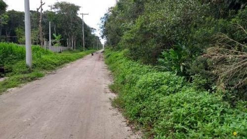 Imagem 9 de 9 de Chácara Litoral Sul Próximo Rodovia 1717m²- Ref. 6064/dz