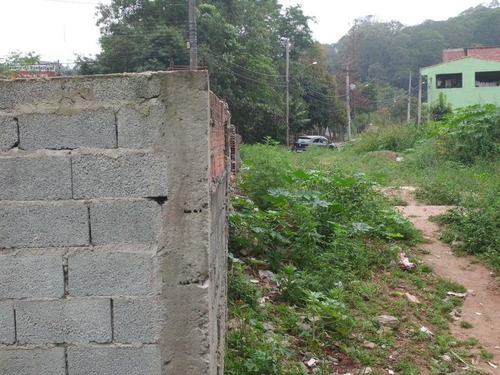 Imagem 12 de 15 de Terreno Em Jardim Luciana - Franco Da Rocha - 193