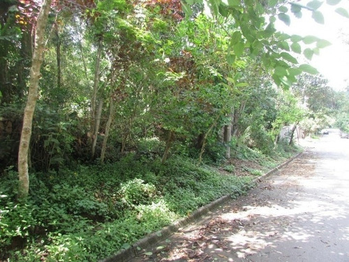 Imagem 3 de 6 de Excelente Terreno Próximo Da Raposo Tavares,km 26! - Te0033