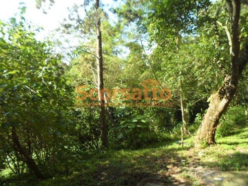 Imagem 13 de 19 de Chácara À Venda Itaquaciara, Itapecerica Da Serra/sp - 4152