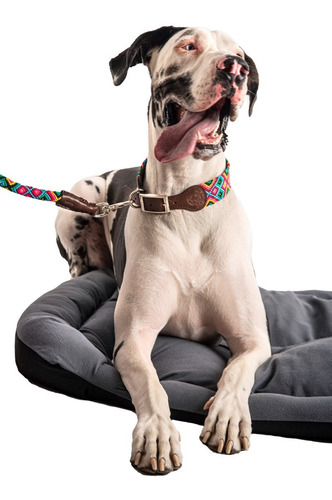 Imagen 6 de 9 de Cama Para Perro Alebripets, Impermeable, 100% Mexicana Jumbo