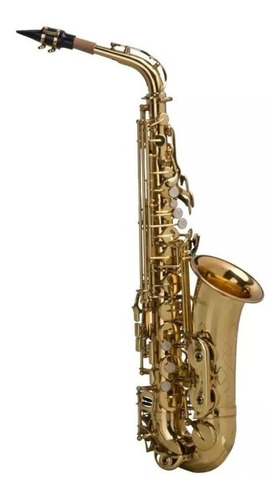 Sax Alto Shelter Sft6430l Laqueado Dourado Com Case