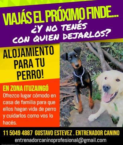 Adiestrador Canino / Guarderia / Pensionado Canino .
