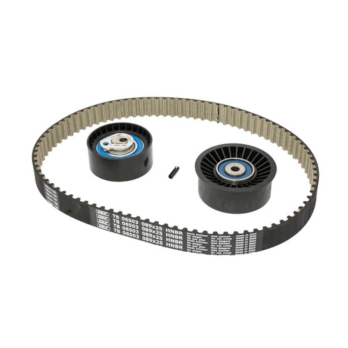 Kit De Distribucion Skf Renault Master Furgon/chasis 2.5 Dci