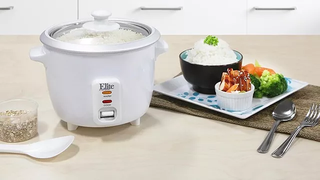 Arrocera Y Vaporera Eléctrica Gourmet 