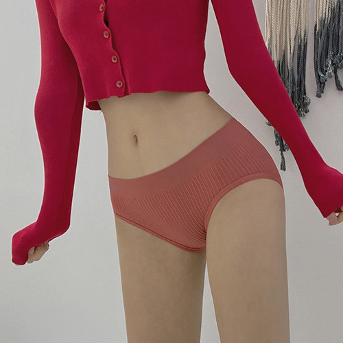 6 Piezas Para Mujer Bragas Sin Costuras Conjunto De Ropa