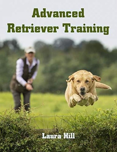 Libro: Advanced Retriever Training