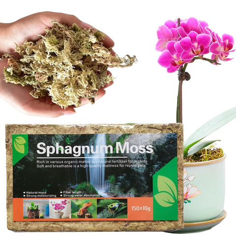 Musgo Sphagnum Deshidratado 150g Para Orquídeas Carnívoras