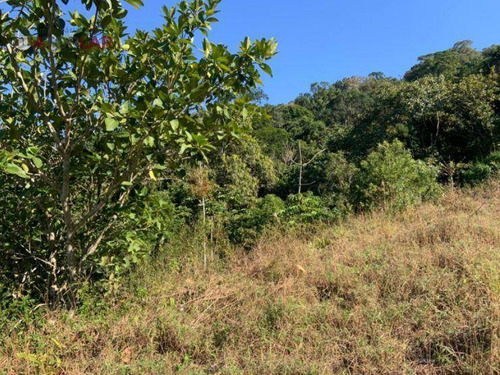 Imagem 5 de 17 de Terreno Em Área Rural À Venda, 25000 M² Por R$ 600.000 - Braço De Camboriú - Camboriú/sc - Te0126