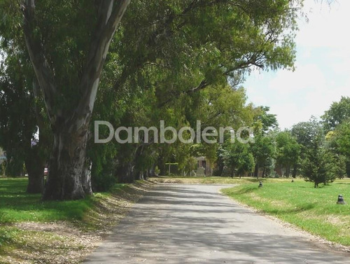 Imagen 9 de 12 de Terreno Lote En Venta Ubicado En Lomas De San Antonio, Luján, G.b.a. Zona Oeste